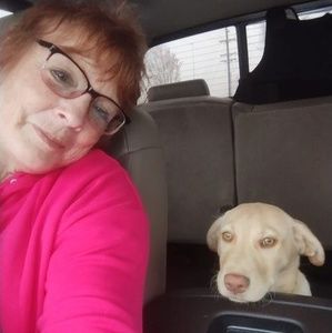 Meet your Posher, Marlene